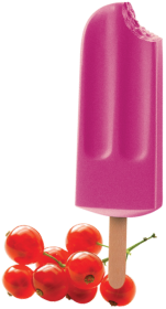 Groselha